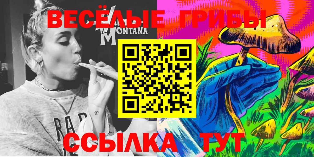 Балтийск  Псилоцибиновые грибы Psilocybine cubensis  Вход с VPN  Галлюциногенные грибы мухоморы 