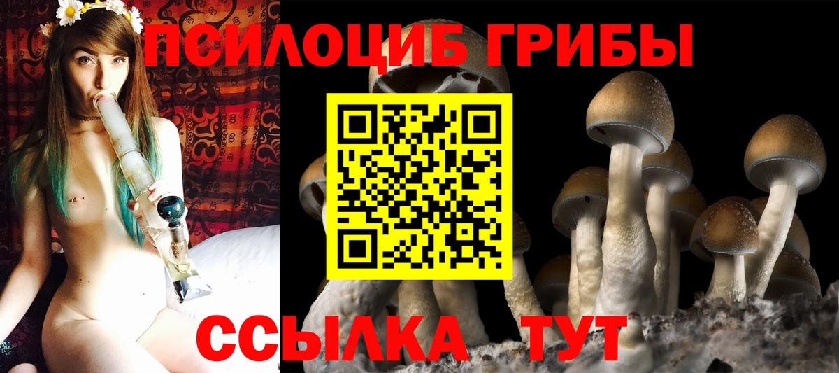 Псилоцибиновые грибы прущие грибы Балтийск